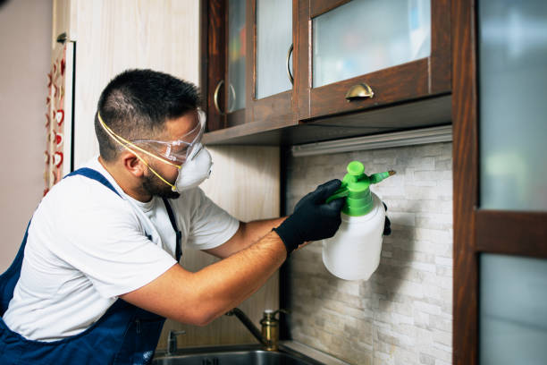 Best Best Pest Control Companies  in Beech Mountain Lakes, PA