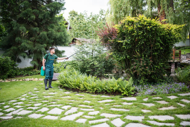 Best Flea Control Services  in Beech Mountain Lakes, PA