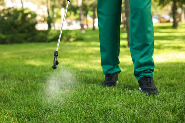 Best Wasp Removal Services  in Beech Mountain Lakes, PA