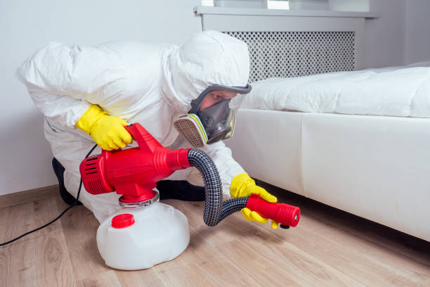 Best Flea Control Services  in Beech Mountain Lakes, PA