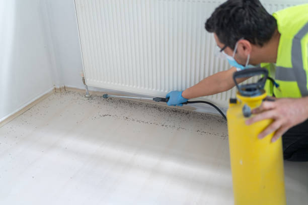 Best Termite Control Services  in Beech Mountain Lakes, PA